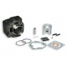 ЦПГ Malossi Sport 70cc Honda Lead 50