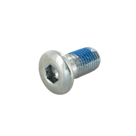Болт тормозного диска M10x1.25x15