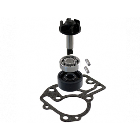 Ремкомплект помпы Yamaha Gear UA06j, Jog SA36, Jog SA39, Vino SA26j, Vox, BWS
