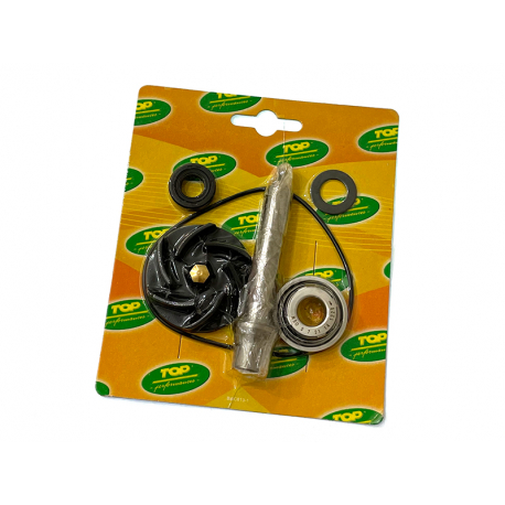 Ремкомплект помпы Aprilia / Piaggio / Gilera 400 500