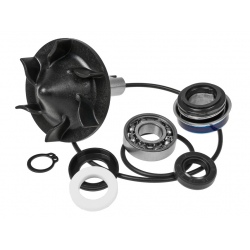 Ремкомплект помпы Yamaha T-Max 530 560