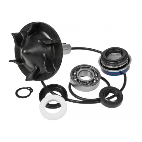 Ремкомплект помпы Yamaha T-Max 530 560