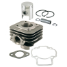 ЦПГ RMS GILERA / PIAGGIO 50cc 2T